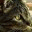 abolbashar.wordpress.com