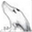 darkfox.org