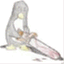 chainsawpenguin.wordpress.com