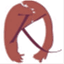 kaynorgard.com
