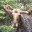 goneformilk.wordpress.com