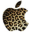 leotranspack.wordpress.com