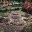 twodogsandthreechooks.wordpress.com