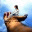 incurajari.wordpress.com