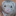 thewebferrets.nl