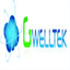 gwelltek.com