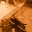 eloistein.wordpress.com