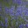 jgpfeiff.wordpress.com