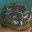 empangqq.com