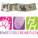 hundeschule-heinrichsen.de