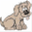 webepups.com