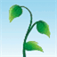 walktalkbeanstalk.com