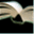 pertuset.net