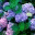 ngaptblog.wordpress.com