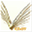 ynten.com