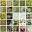 bilerefotoworld.com