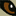animatedlane.com