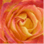 warmthreads.wordpress.com