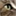 catdoctors.cc