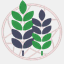 myprovidentfinancial.com