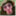 thomasrhea.wordpress.com