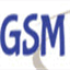 gsmsicurezza.com