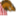 buckybadger.org