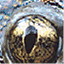 spacetoads.com