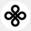 cognito-server.com