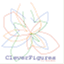 cleverfigures.wordpress.com