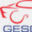 gesdegas.com