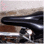 seatposts.wordpress.com