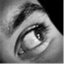 daniphii.wordpress.com