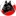 schipperkeabnunc.pl