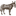 weewoollyburros.com