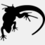 loungelizard.com