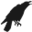 ccbrampton.com