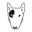 hooli.it