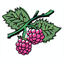 autempsdesframboises.ch