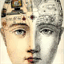 brainminded.com