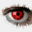 bsdwatch.net
