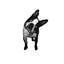 onebrassfox.com