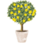lemongroveroad.com.au