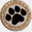 bpwsitv.com