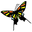 bsds.de