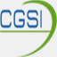 cgsi-consulting.fr