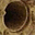 scdtsy.com