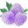 blueraspberry.wordpress.com