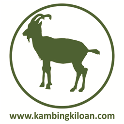 kambingkiloan.com
