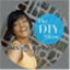 thediyshow.com